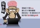要嫁就嫁程序猿—钱多话少死的早